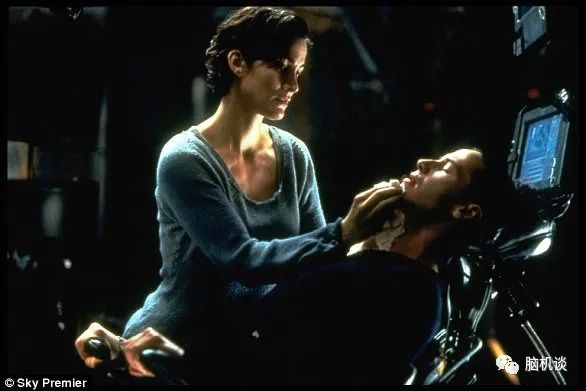 ​《脑机往事（3）—维达尔的秘密》