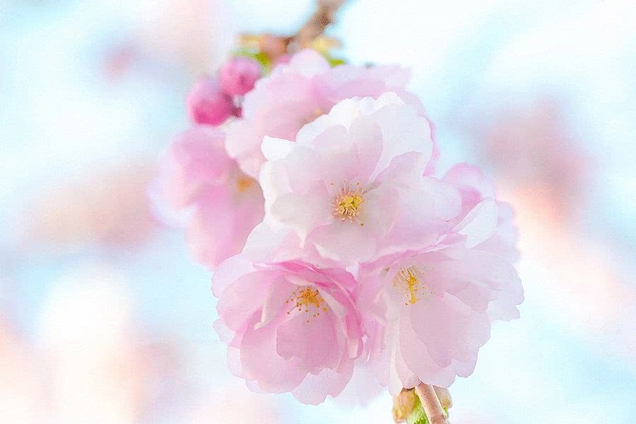 十句经典的情诗,10首绝美情诗