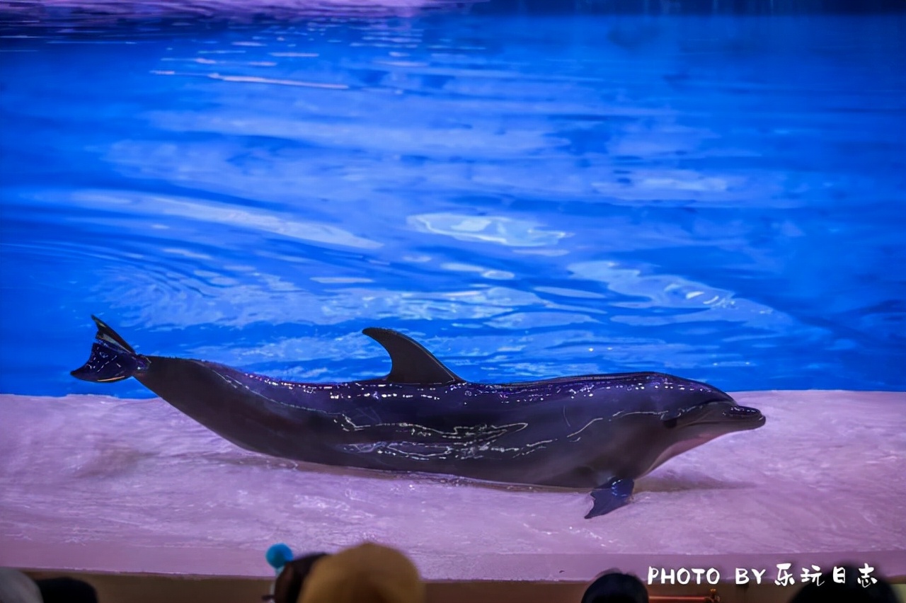 珠海亲子游必玩景点,珠海一日游适合带孩子玩的景点