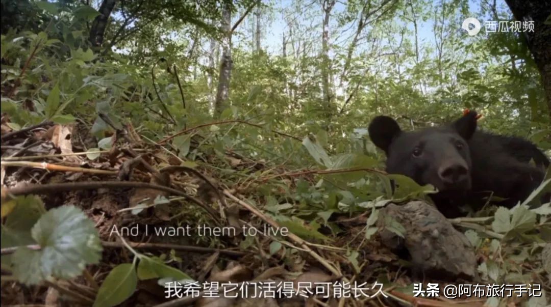 豆瓣9.1分看哭百万人,豆瓣评分9.0却很少有人看懂