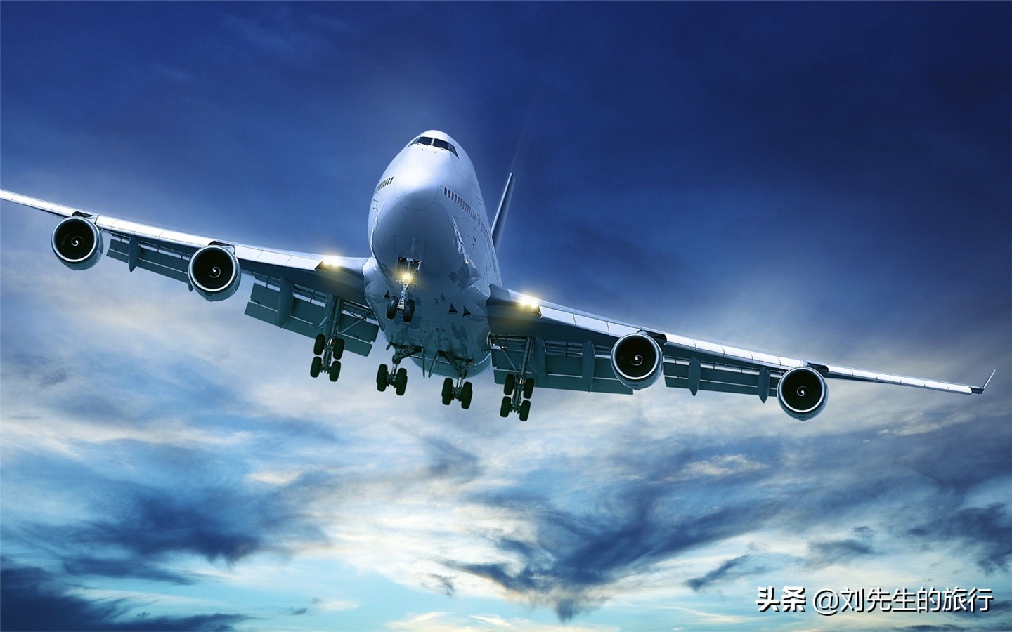 日本旅行冷知识,一粒种子的旅行中的冷知识