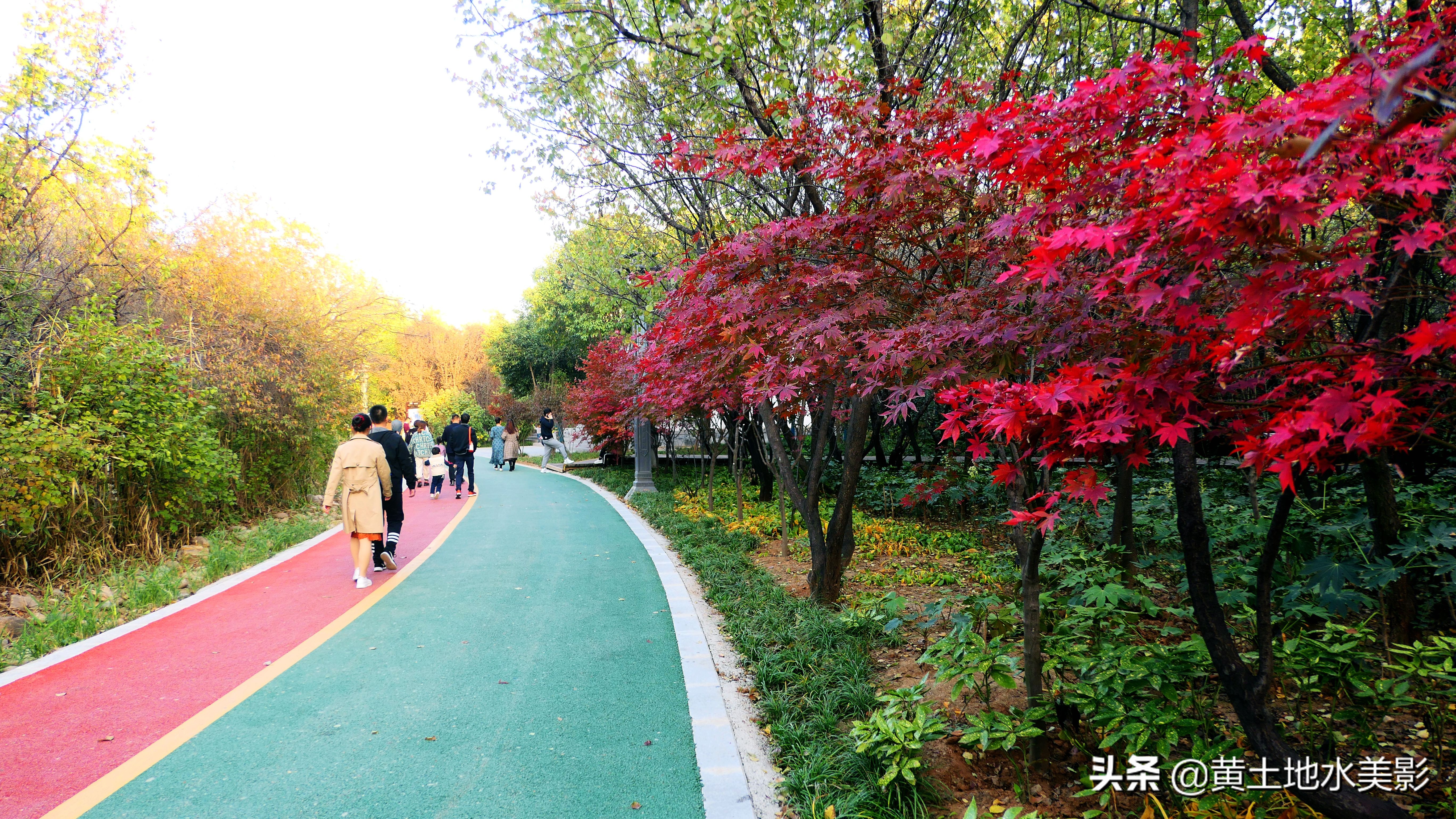 免费游玩东湖公园攻略,免费湿地公园游乐景点