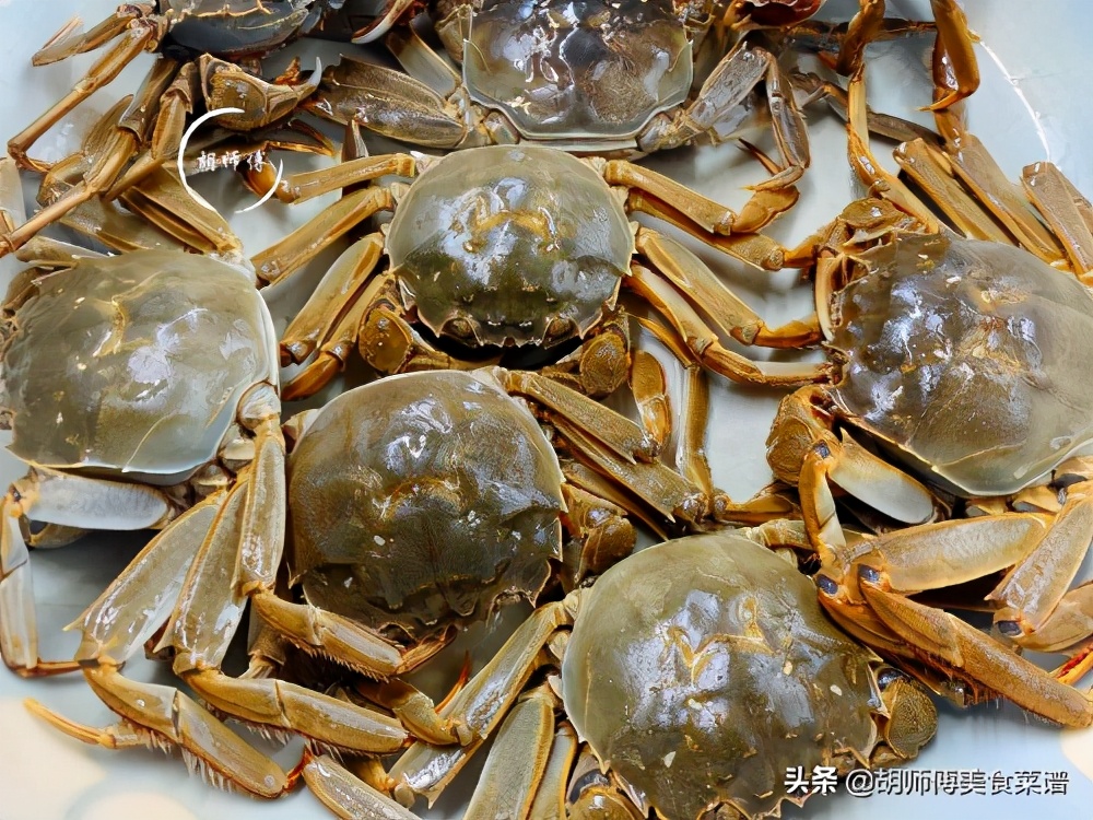 螃蟹要买公的还是母的怎么挑,教你挑选螃蟹的8个技巧