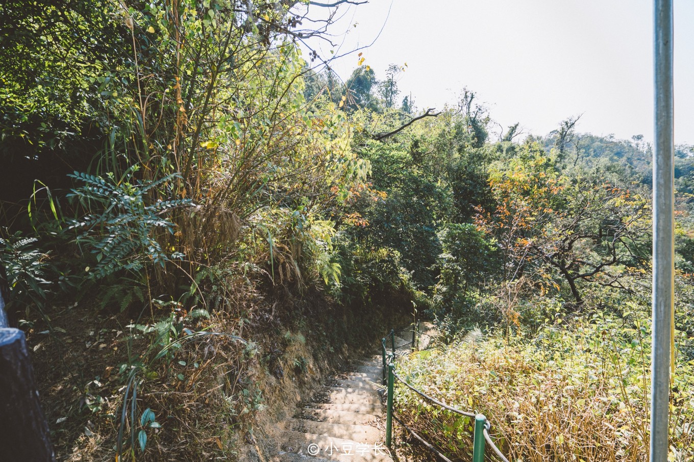 澳门旅游攻略免费吃喝,去澳门哪里有免费吃喝