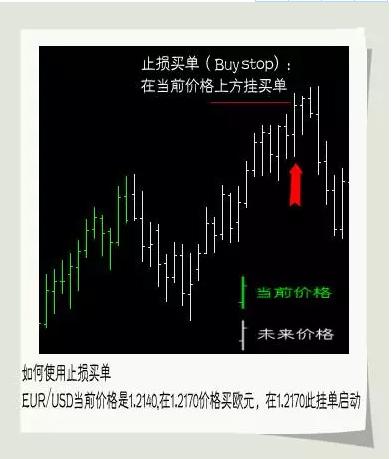 熬夜也要看完的10本书哲学,熬夜必备知识大全