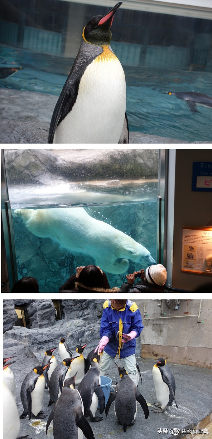 日本旅游工资流水单什么样,日本流水账式旅行