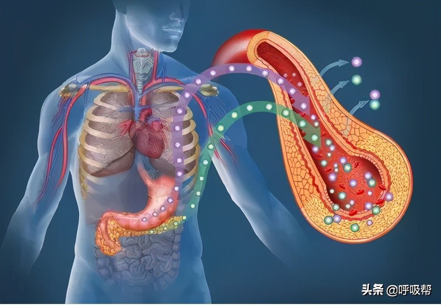 晚上睡觉呼吸暂停十几秒后打鼾,睡眠打鼾呼吸暂停用什么呼吸机