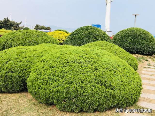青岛的金沙滩和银沙滩哪个比较好,青岛金沙滩风景区简介
