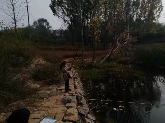 空闲出钓沐暖阳，本汀宗师开光狂拉鲫