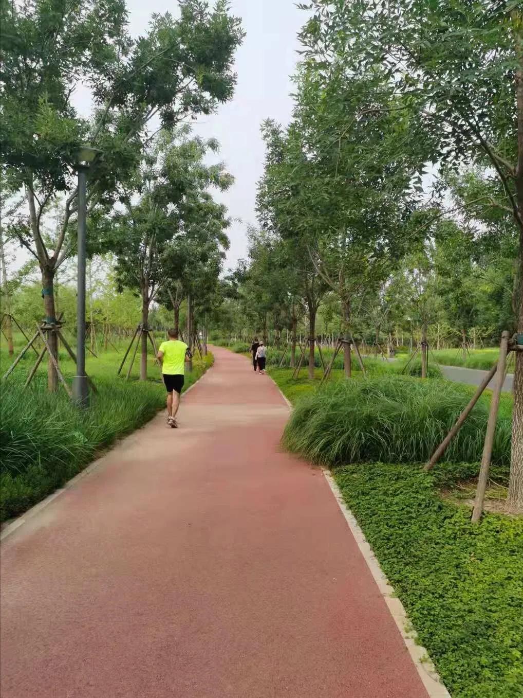 北京跑步公园排行榜,北京适合跑半马的公园