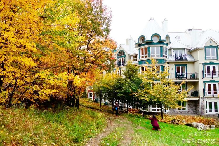 鍖楃編鏋儏閽荤煶姗℃湪,鍖楃編鏋儏鐏攨