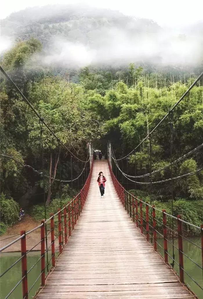 荔浦旅游胜地,一座让我心心念念的小县城荔浦