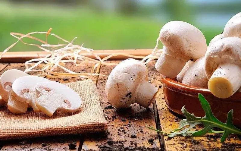 白蘑菇吃法大全,白蘑菇菜品