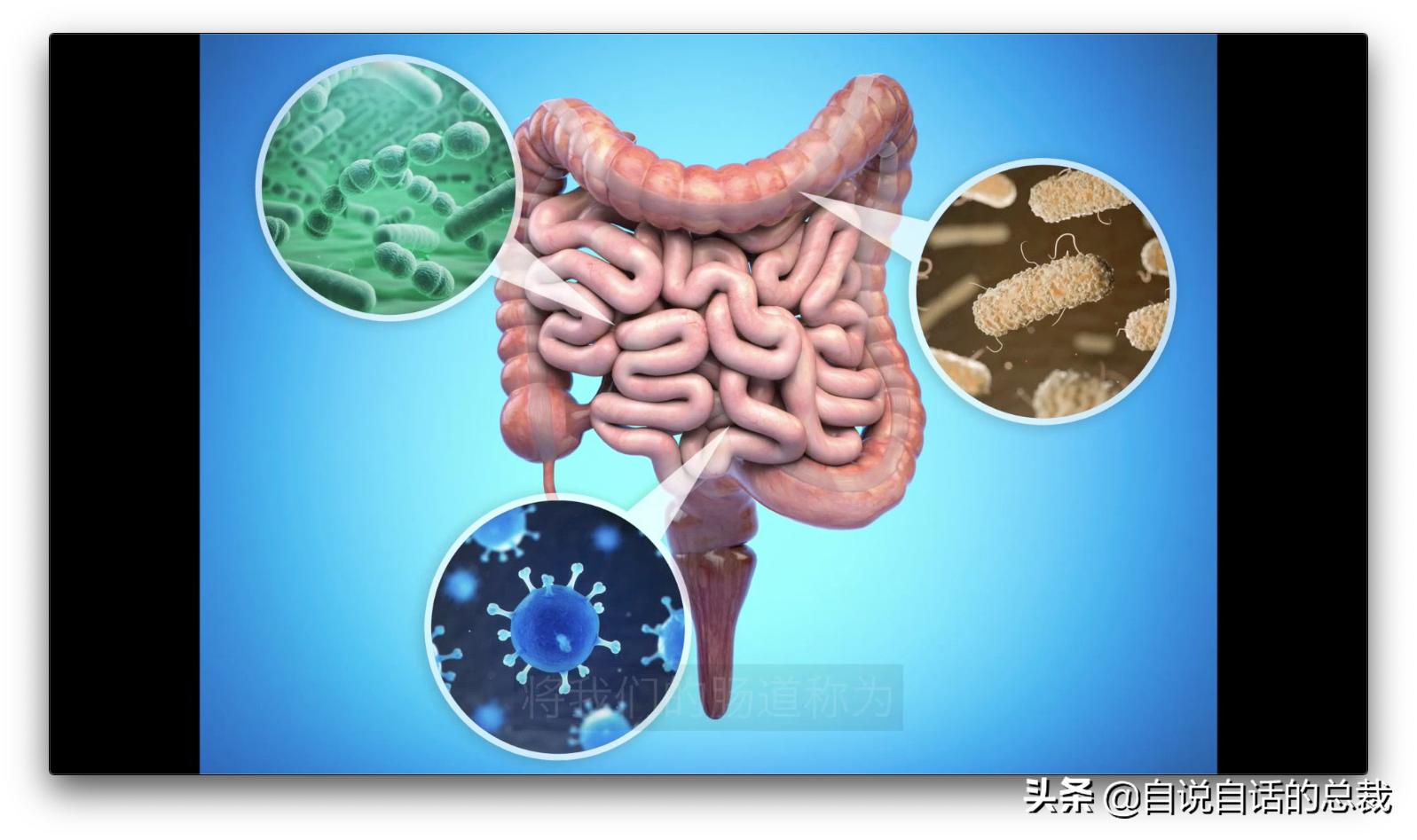 吃翔救命,最奇葩的药,人体“第二大脑”的五个惊奇