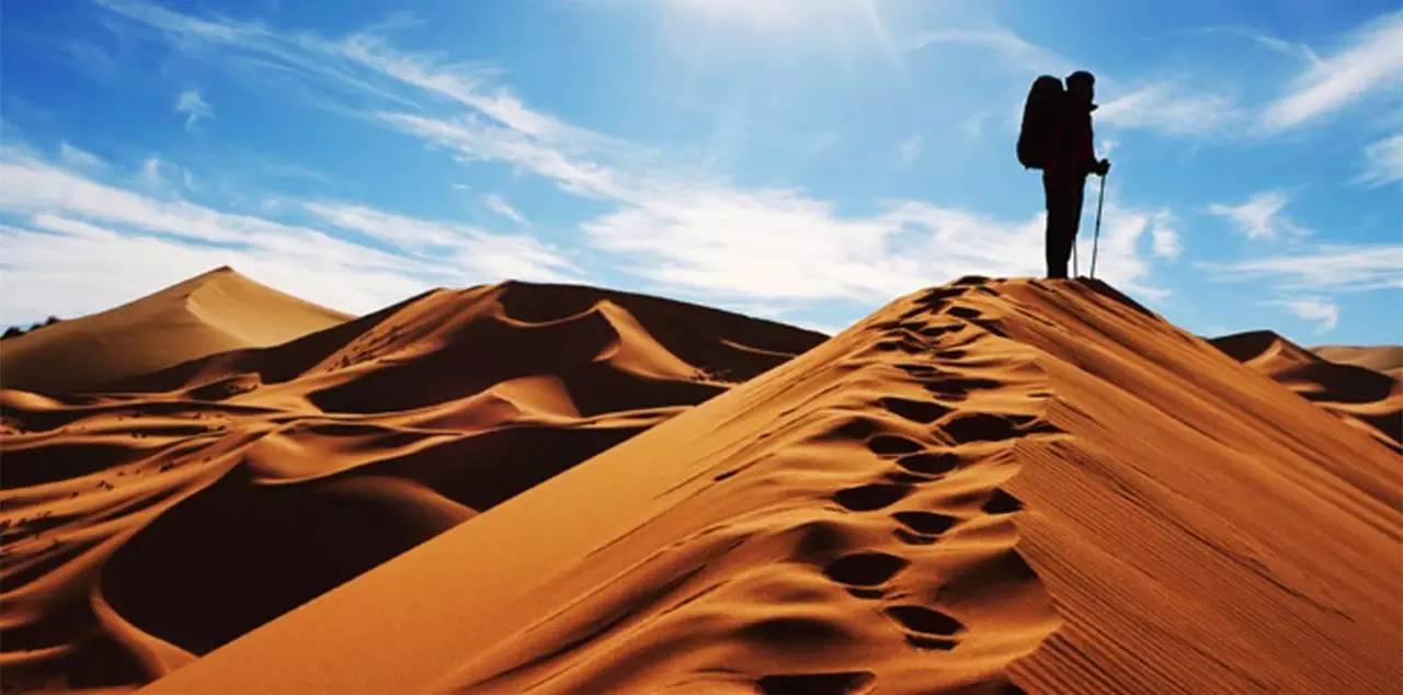 野外求生获取水,野外求生怎么获得水