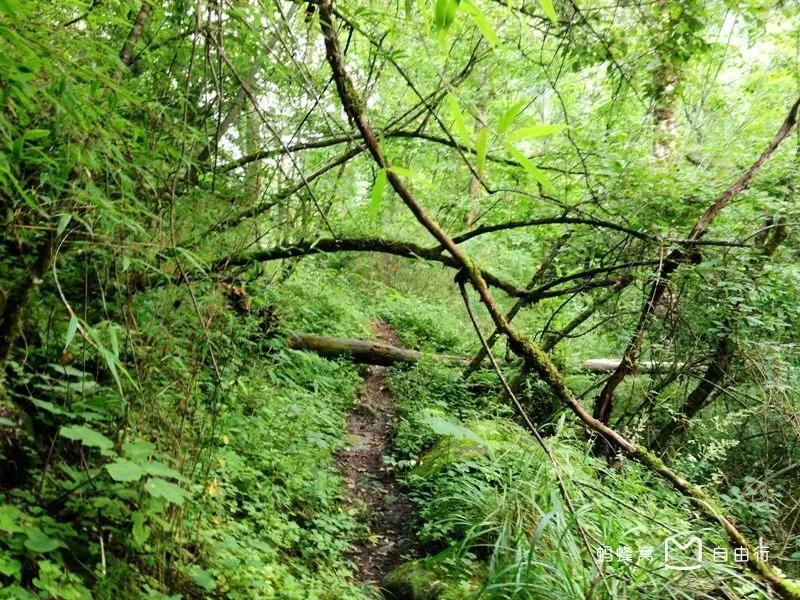 太白山旅游记完整视频,游玩太白山攻略