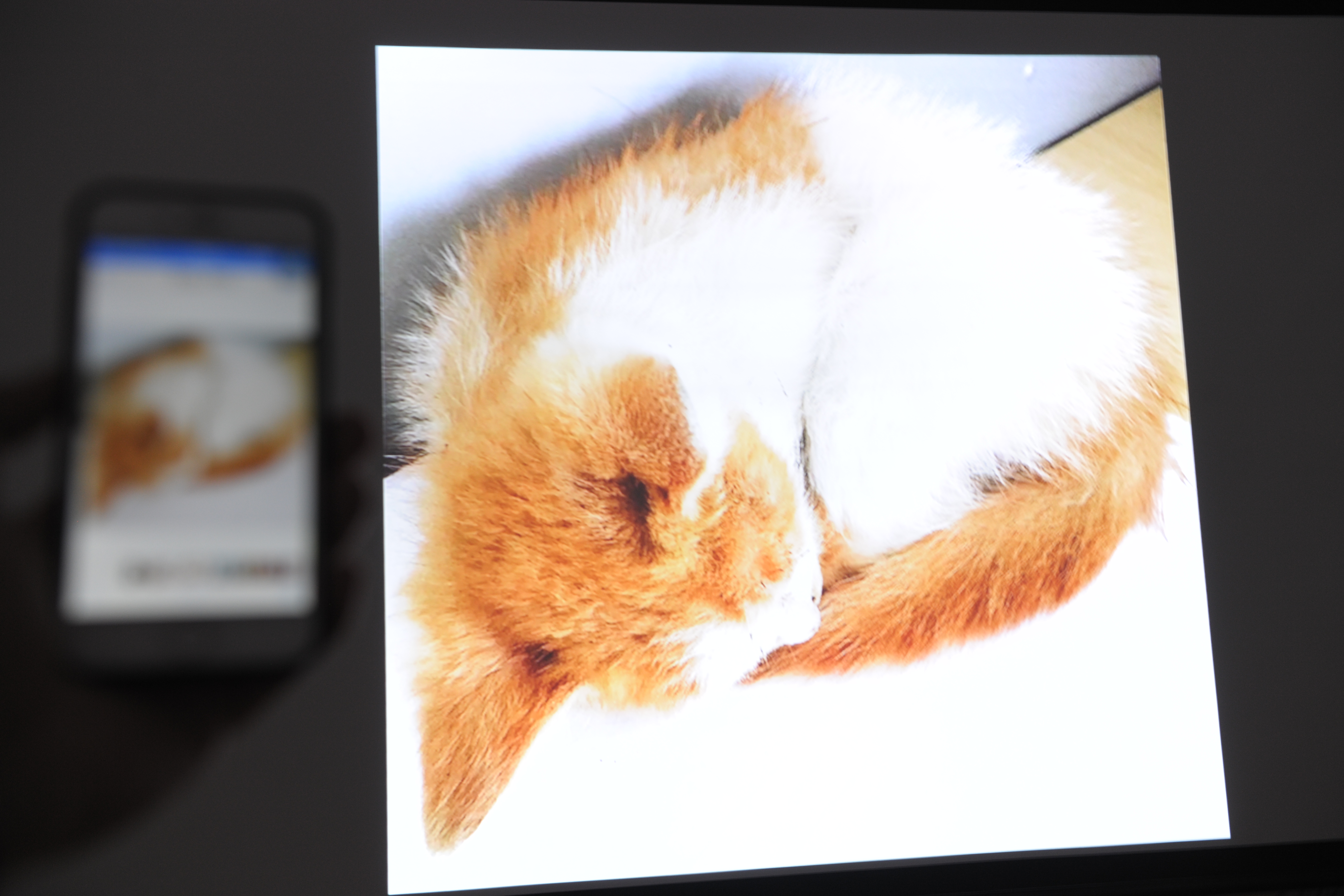 家庭投影机选什么样的幕布,家庭投影仪不要幕布