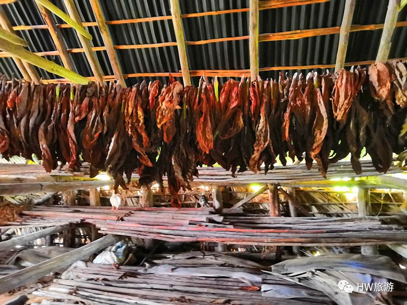 古巴雪茄最根本的香气特点,古巴雪茄的真实口感