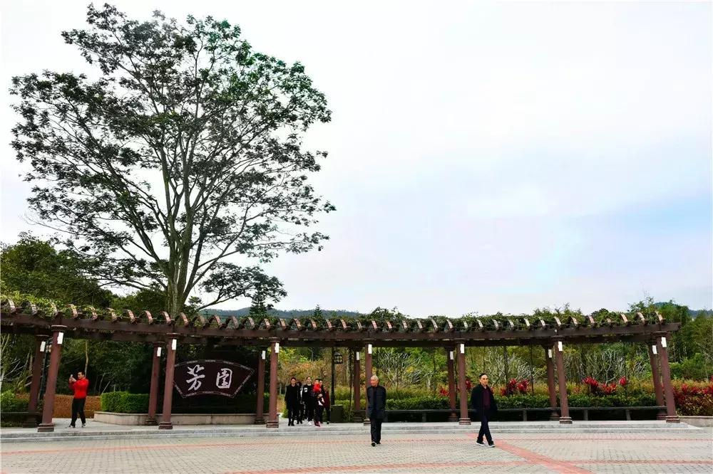 郑州春节周边景区免费景点大全,春节赏花的好去处