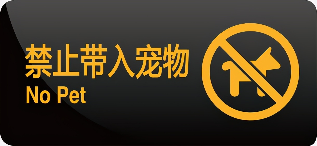 导盲犬一般都是什么品种,导盲犬是什么品种狗狗呢