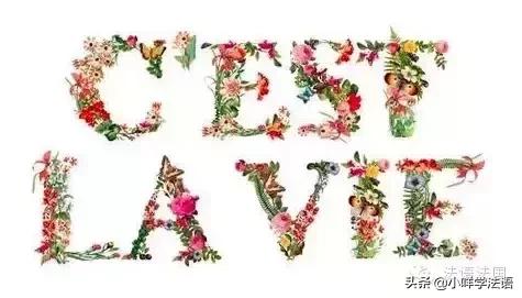 法语聊天常用语大全,法语零基础入门学习日常用语