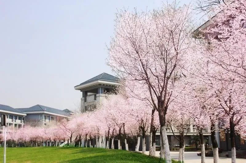 为何叫南京晓庄学院,孩子你为什么要上一个好的大学