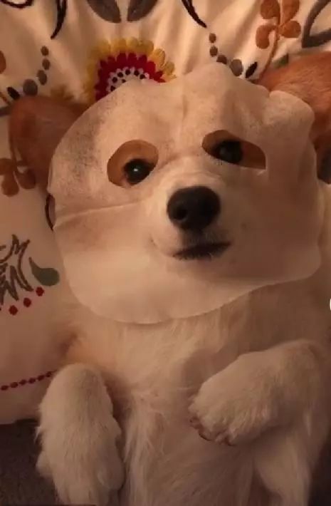 十大坑化妆品,美妆品牌十大坑