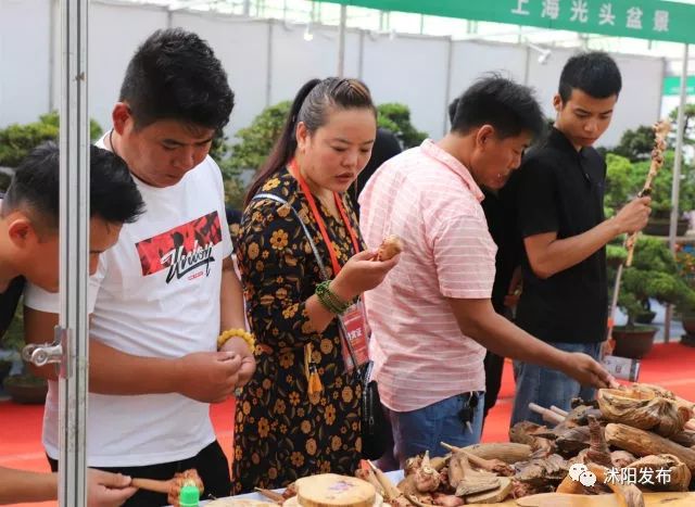 沭阳庆国庆迎中秋,沭阳迎国庆