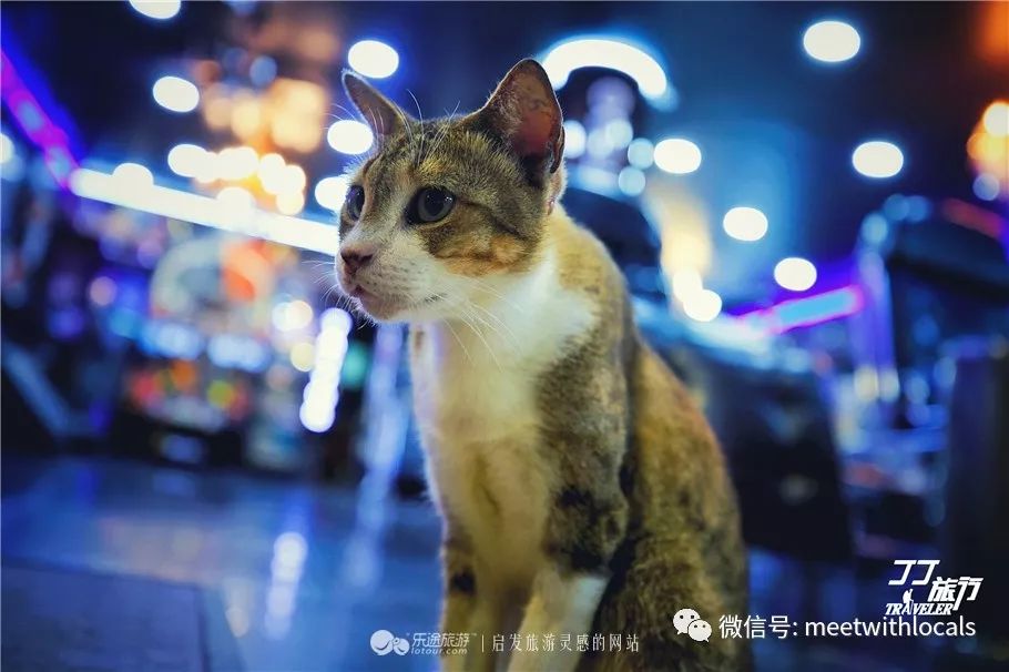 泰国普吉岛天堂海滩夜生活,泰国不容错过的日落景点