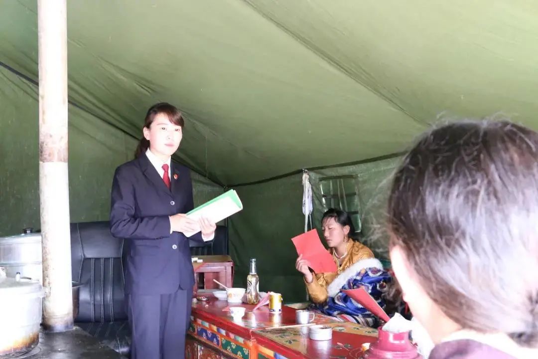 藏羚羊的惨死,藏羚羊死在车里