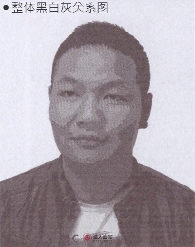 素描关系五大调子,素描五大调子的明暗对比顺序