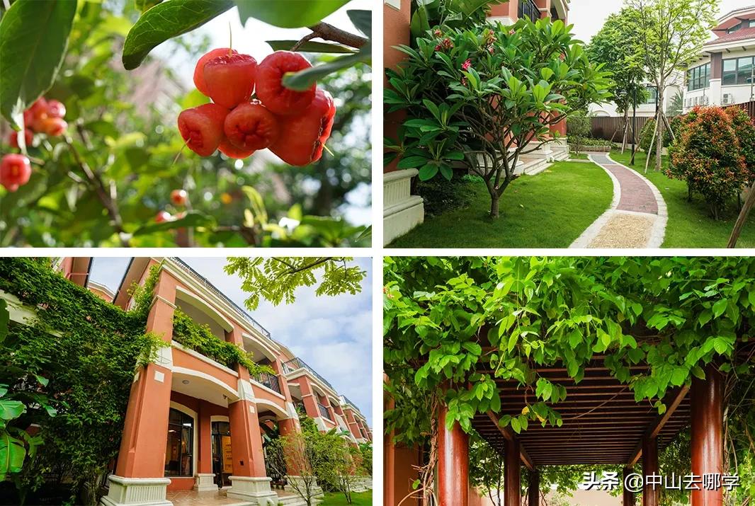 沙溪华发四季幼儿园,中山市沙溪港头幼儿园