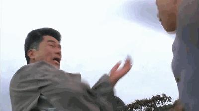 成龙元彪洪金宝甄子丹李连杰电影,李连杰和成龙的武打动作对比