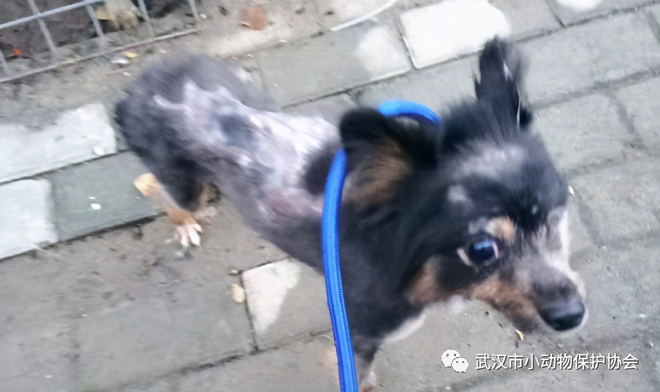 背部烫伤伤口发白是溃烂吗,眼睛被开水烫伤过容易得什么炎症