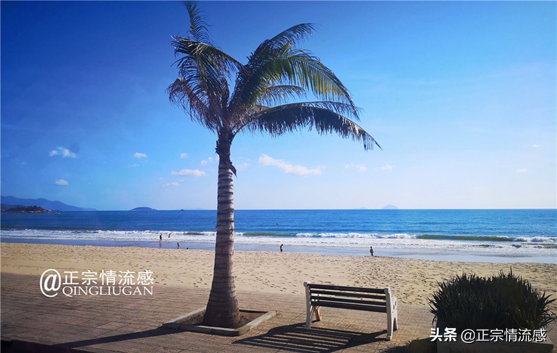 芽庄印象｜|想说爱你不容易