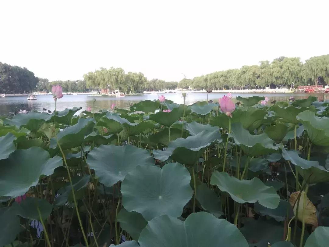 部编版语文三年级上册课后题答案,部编三年级语文上册课后习题答案