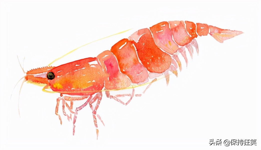 台湾十大特产排行榜,台湾有哪些特产值得带回来吃