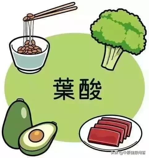 怀孕了发现叶酸中度风险,怀孕了发现叶酸代谢弱