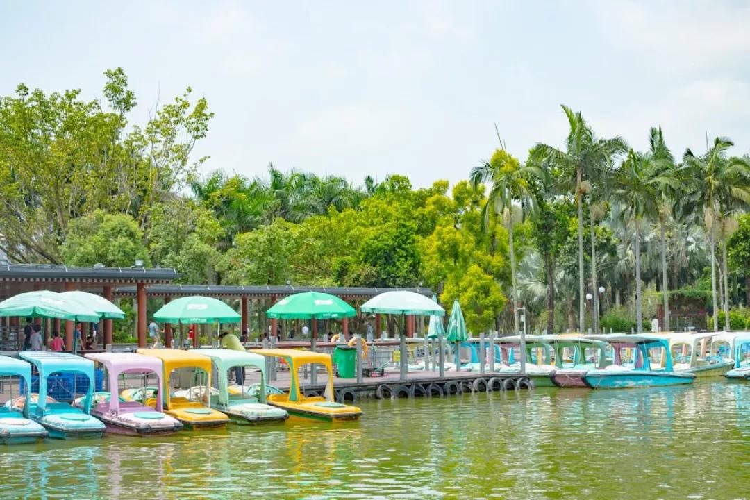 深圳旅游攻略一日游路线推荐,深圳自驾游一日游最佳路线图