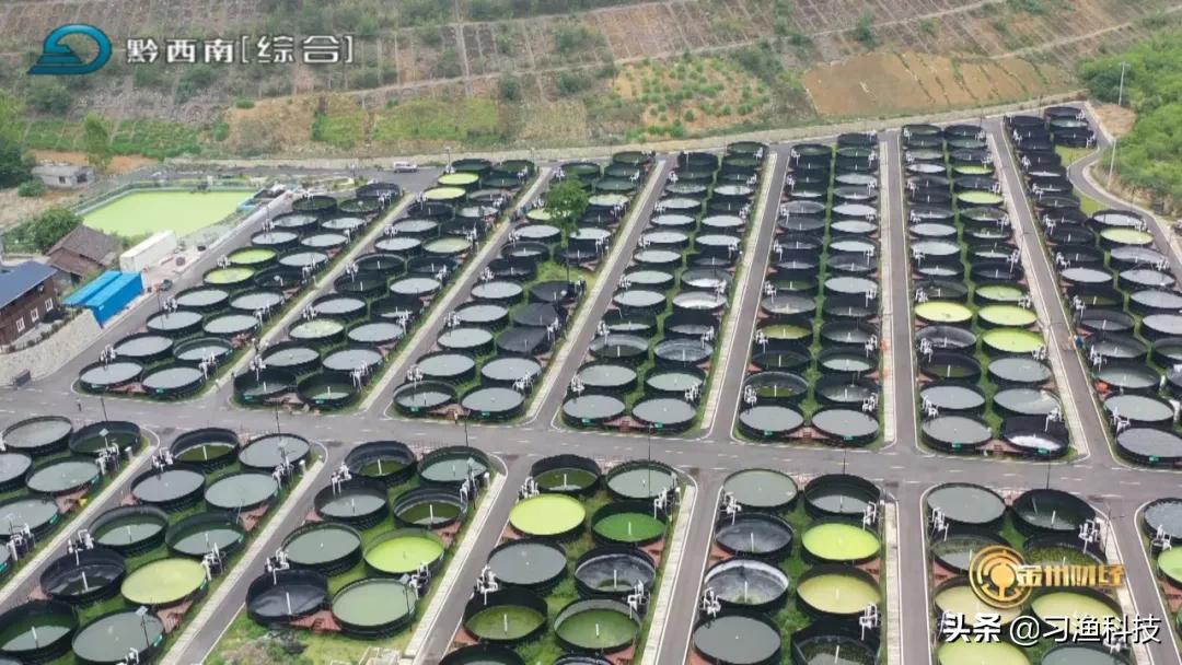 室内大规模工厂化养鱼技术和设备,玻璃钢养鱼池养鱼怎么样