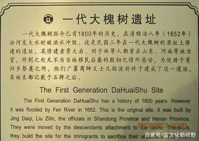 山西老鹳窝大槐树移民,大槐树上的老鹳窝