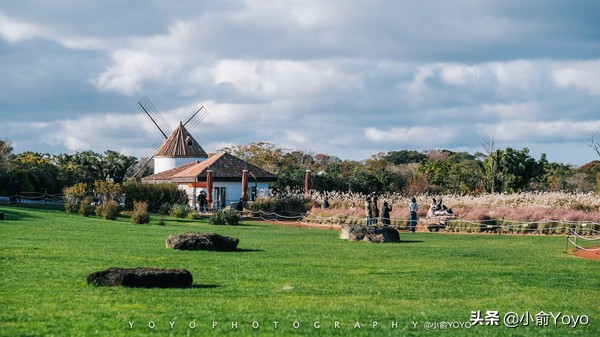 济州岛最值得去的地方,来济州岛第一天去哪玩