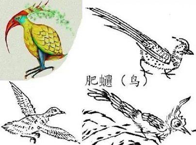 上古时代的食谱,上古食谱山海经