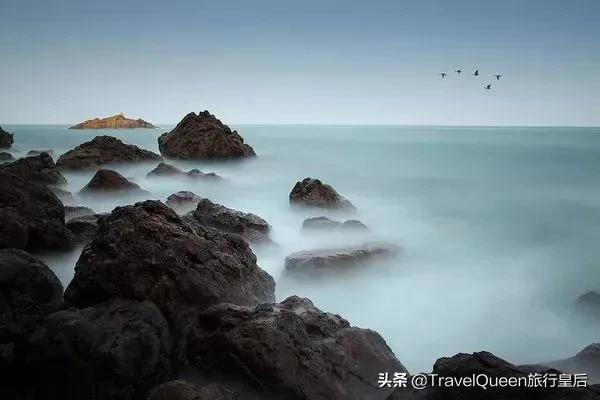 动物森友会无人岛一天可以去几次,动物森友会所有虫类图鉴