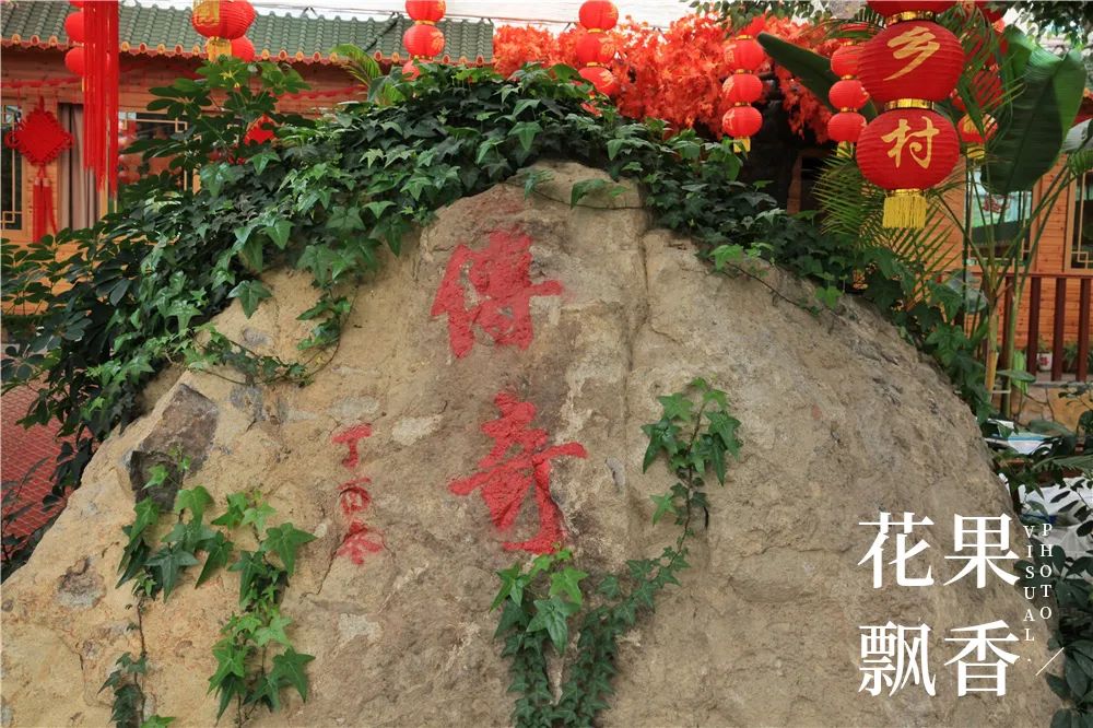 一位女村官的故事,一个农村姑娘的创业史