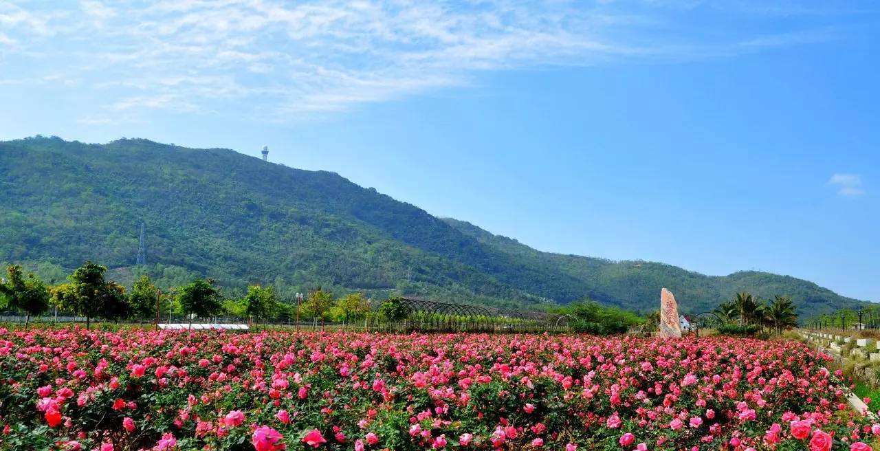 老北京的味儿在哪里,老北京的味道