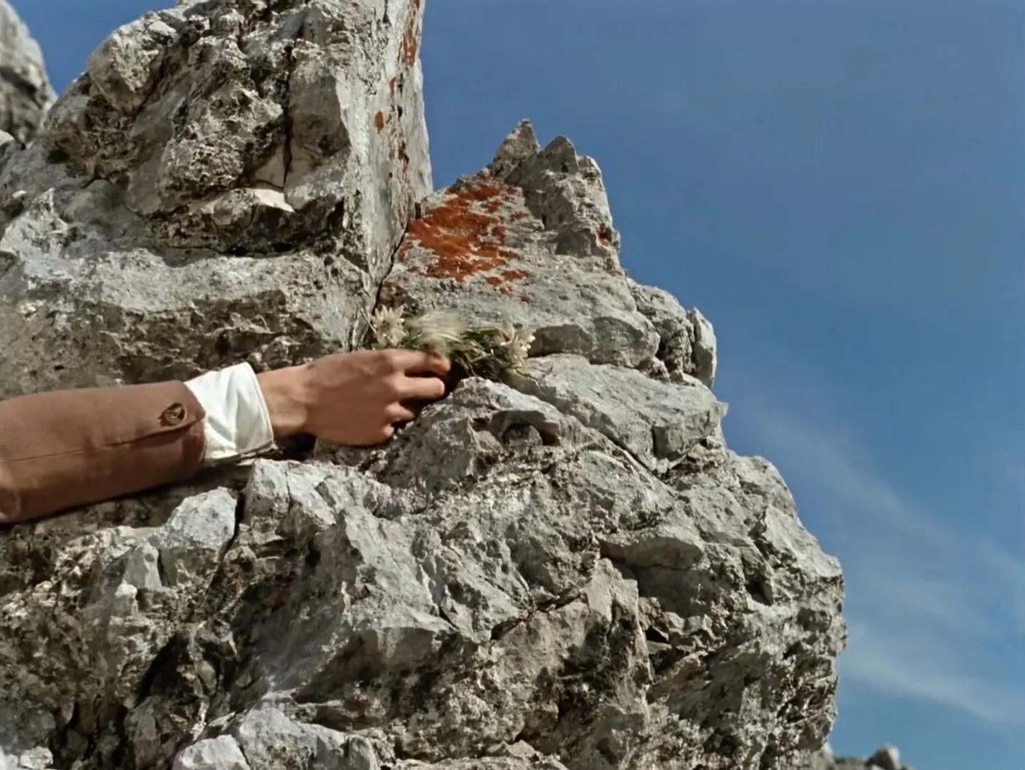 有王子谁还看剧情？帅就完了。荧幕上的中外王子，谁是你的菜？