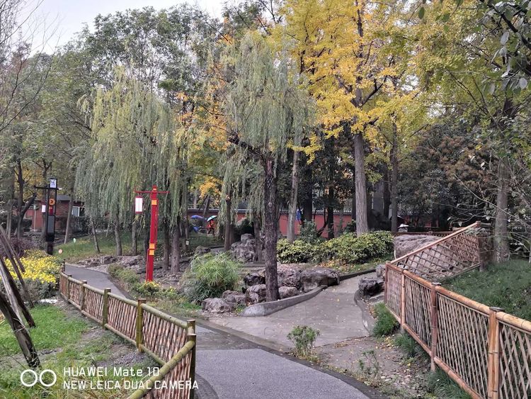 深秋的私语,美文美图经典欣赏