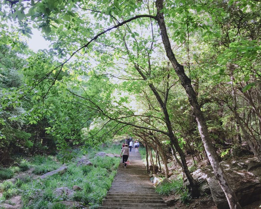 武汉11月打卡景点和网红地,武汉50个值得打卡的地方