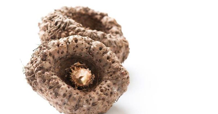 魔芋豆腐汤怎么做好吃窍门,魔芋豆腐怎么做的才好吃